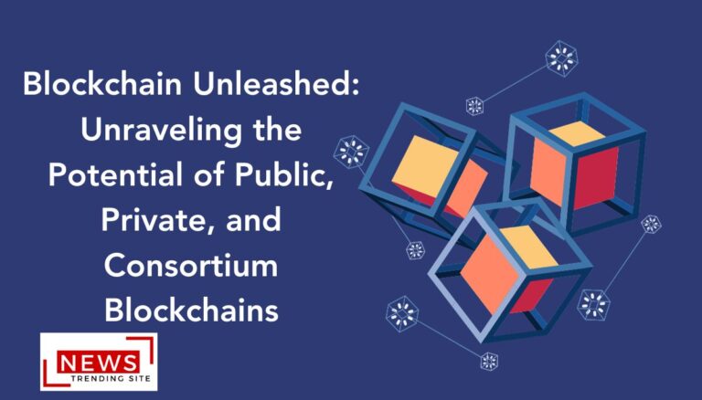 Blockchain Unleashed: Unraveling the Potential of Public, Private, and Consortium Blockchains