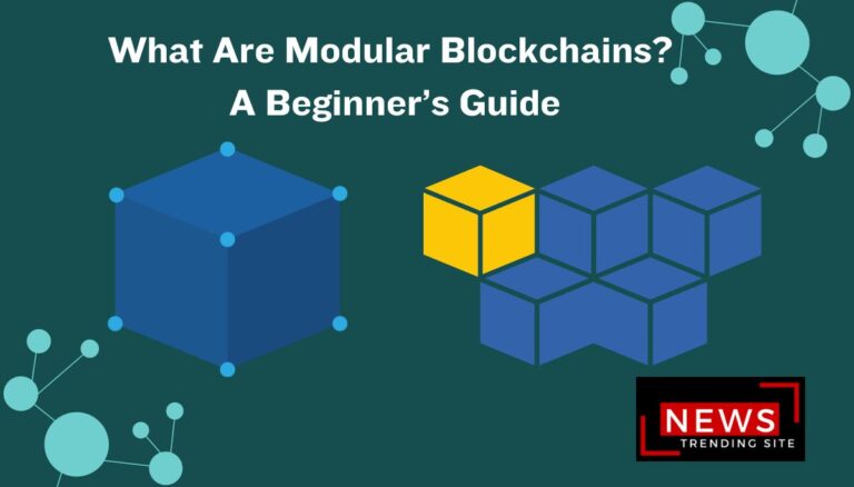 What Are Modular Blockchains? A Beginner’s Guide
